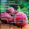 Harmonia (4) listopad-grudzień 2015