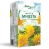 Mniszek ziele 20x2g Herbapol