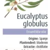 Olejek Eteryczny Eukaliptus Gałkowy (Eucalyptus Globulus) BIO 10ml Physalis