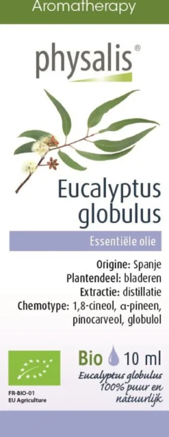 Olejek Eteryczny Eukaliptus Gałkowy (Eucalyptus Globulus) BIO 10ml Physalis