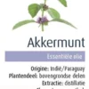 Olejek Eteryczny Mięta Polna (Akkermunt) BIO 10ml Physalis
