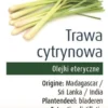 Olejek Eteryczny Trawa Cytrynowa BIO 10ml Physalis