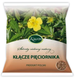 Pięciornik kłącze 50g Kawon