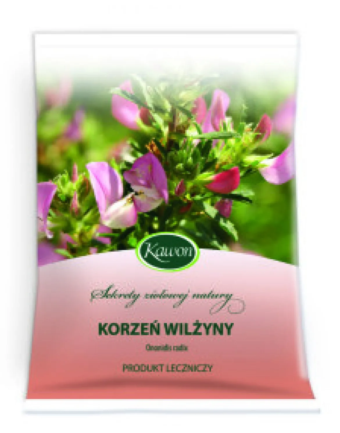 Wilżyna korzeń 50g Kawon
