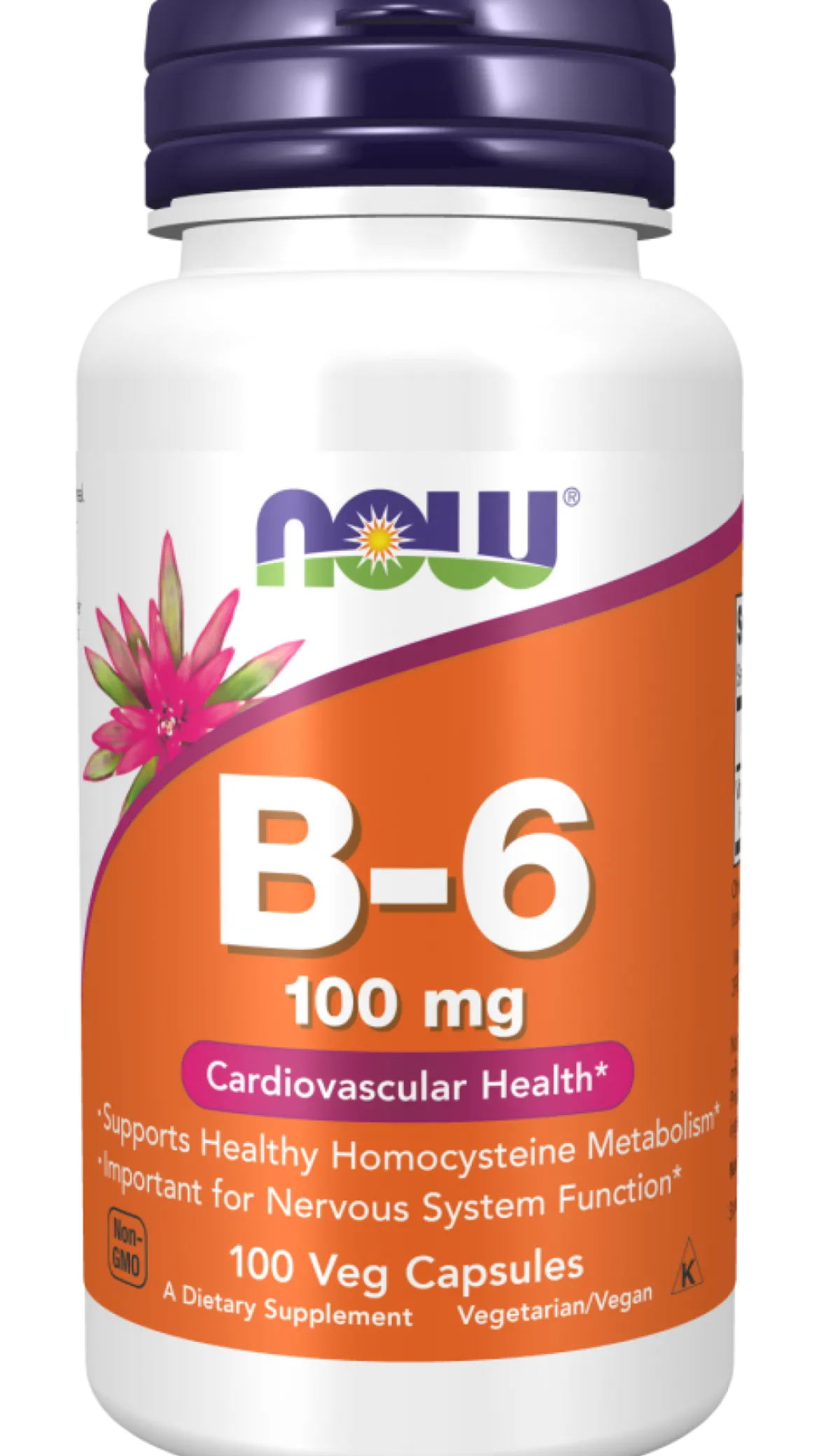 Witamina B6 100 kapsułek Now Foods